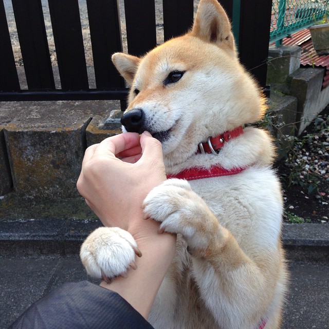 【丁俊晖专访】冠军背后的训练秘密与未来目标，丁俊晖局面专访