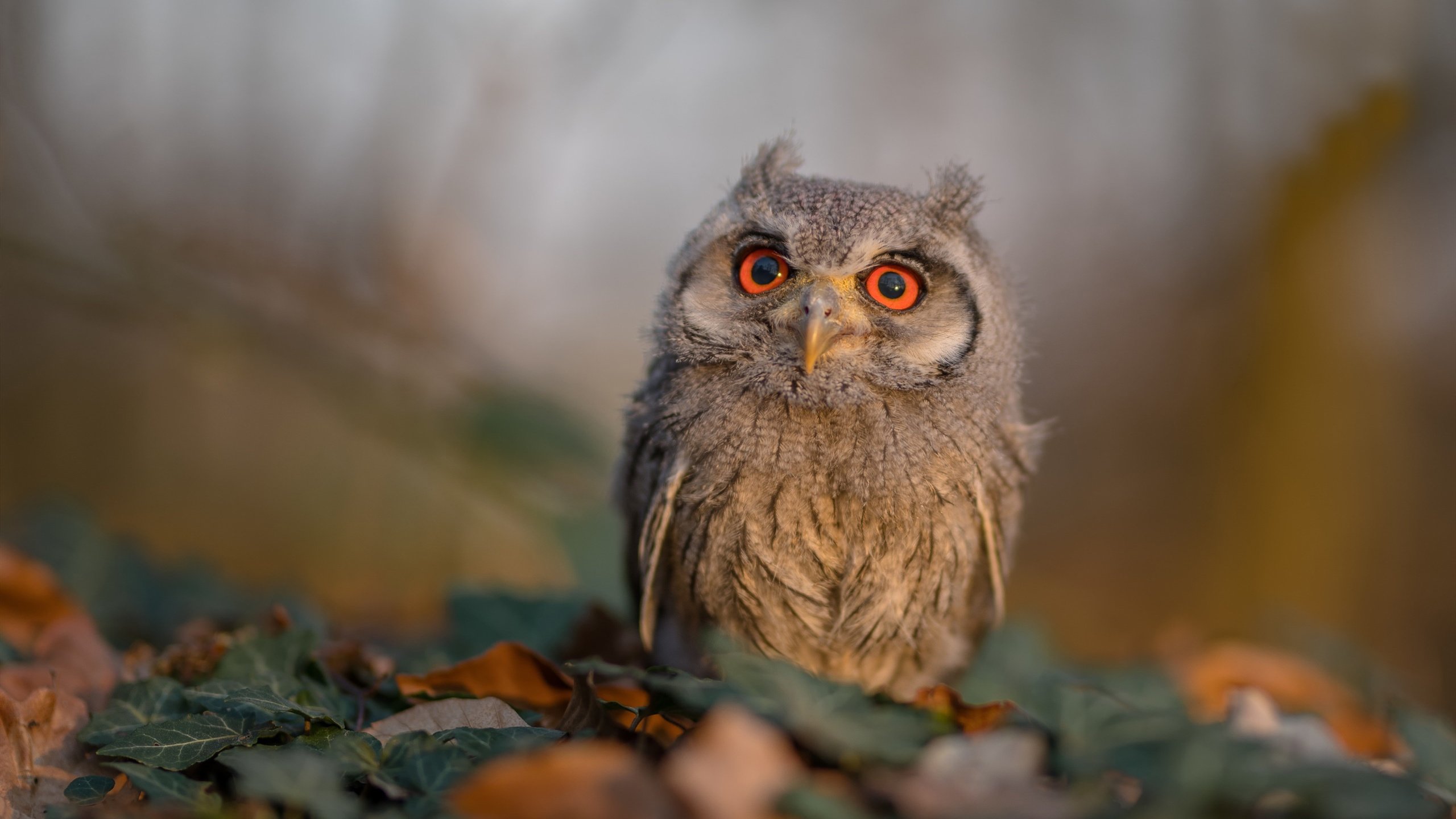 开云首页登录-台球比赛中的“心理战”现场实录，台球实战心理策略